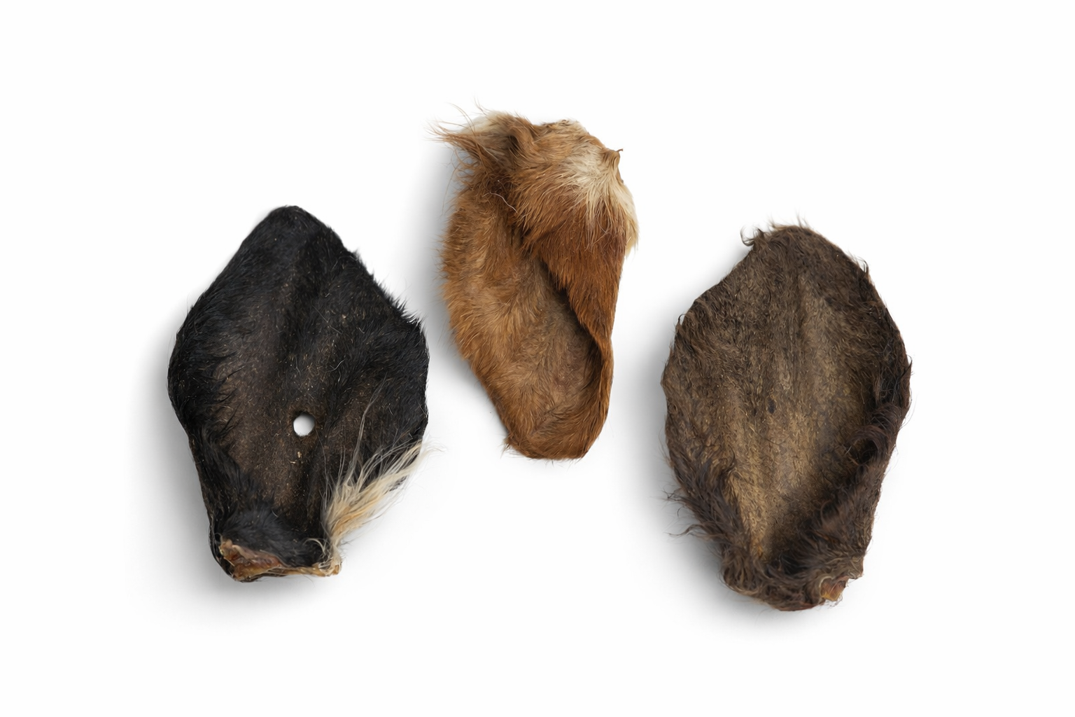 Hairy Cow Ears for Dogs: Natural Chew With Real Health Benefits