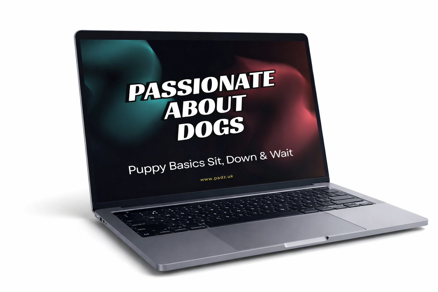 Puppy Training Basics: The Complete Guide to Raising a Well-Behaved Dog (From Day One)