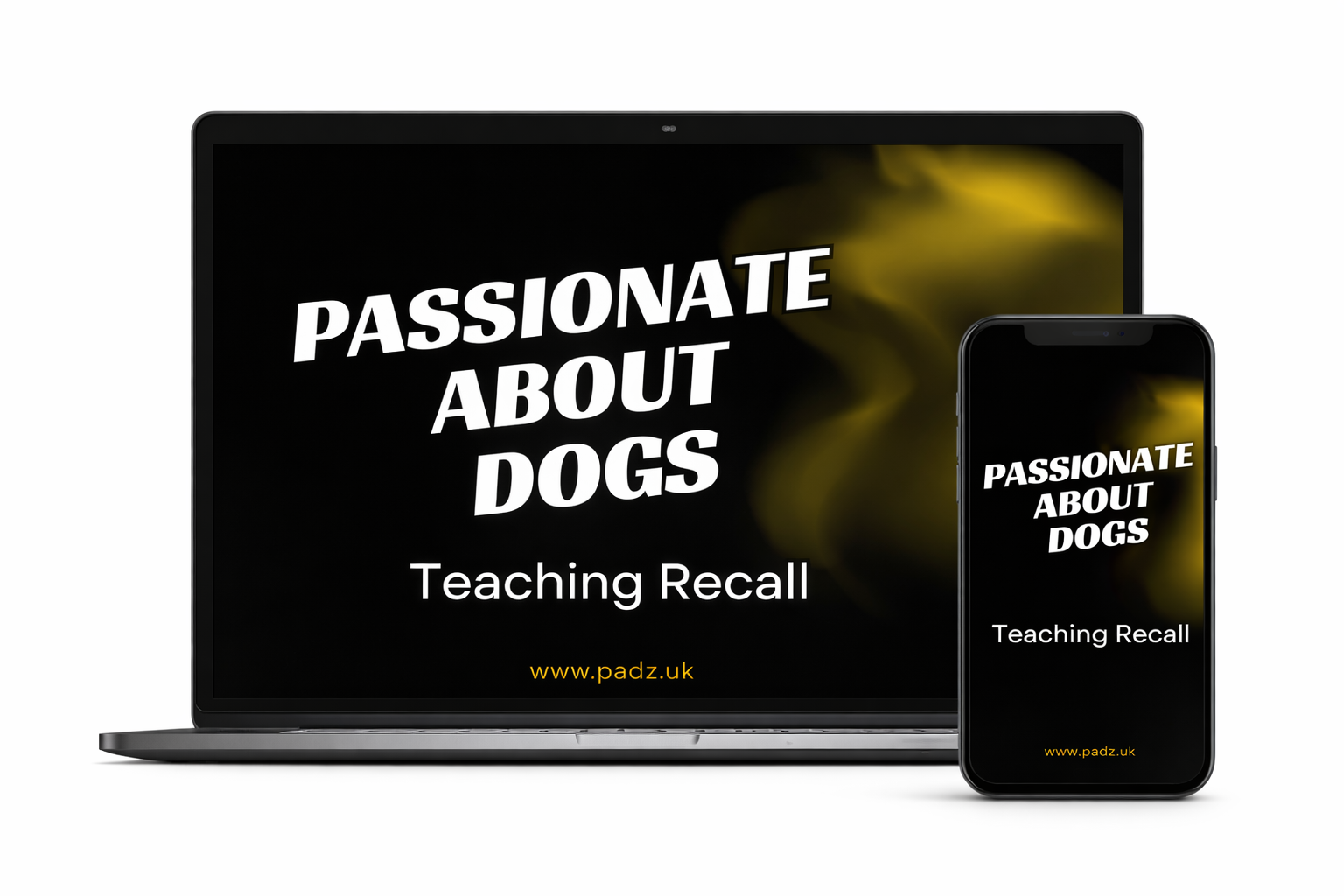 Recall Training Video Course