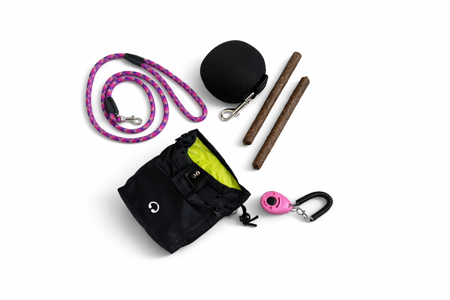 Dog Training Starter Bundle
